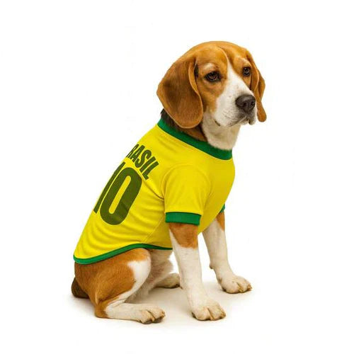 Camisa Pet Brasil N 10